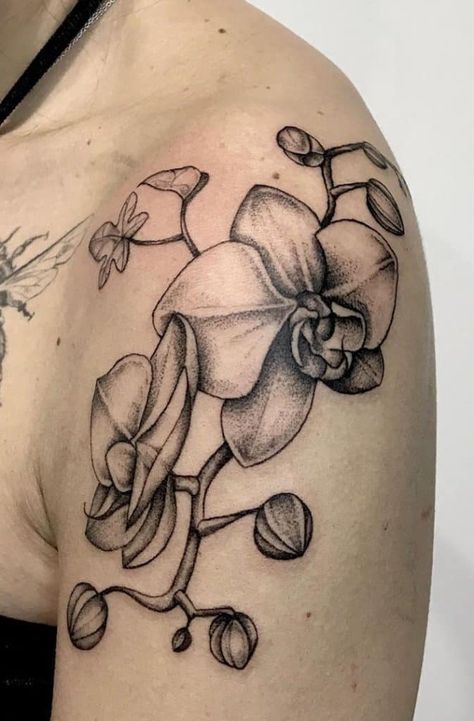 Red Hibiscus Flower Tattoo, Cattleya Orchid Tattoo, Gran Tattoo, Tattoos Orchid, Orchid Tattoo Ideas, Orchid Tattoo Design, Orchid Tattoo Meaning, Orchid Tattoos, Orchid Flower Tattoos