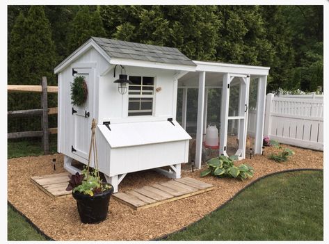 White chicken coop Chicken Coop In Front Yard, Chicken Coop Ideas Design, Chicken Coop White And Black, White Chicken Coop Ideas, Chicken Coop White, Chicken Coops For Small Yards, Simple Backyard Chicken Coop Ideas, Chicken Coop Area Ideas, White Chicken Coop With Black Trim