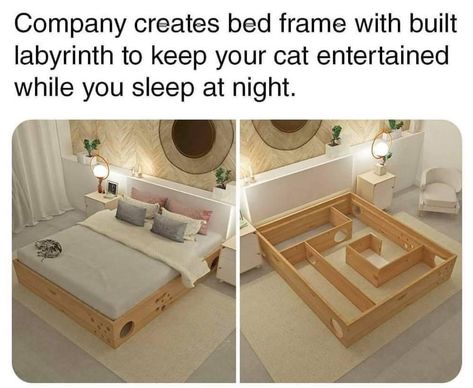 Pet Stuff, Cat Stuff, Labyrinth, Cat Memes, House Stuff, Future House, Cool Things, Bed Frame, Funny Things