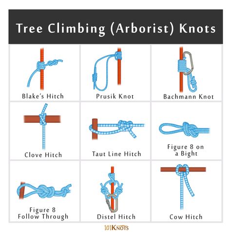 Rock and Tree Climbing Knots: Basic Guide with List Tree Climbing Knots, Arborist Knots, Rock Climbing Knots, Figure 8 Knot, Barrel Knot, Rock Climbing Harness, Prusik Knot, Arborist Climbing, Tree Arborist