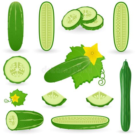 Eating Raw Vegetables, Agriculture Design, Recipe Book Covers, Vector Food, Surfboard Design, Raw Vegetables, Promotional Design, Doodle Illustration, Green Vegetables