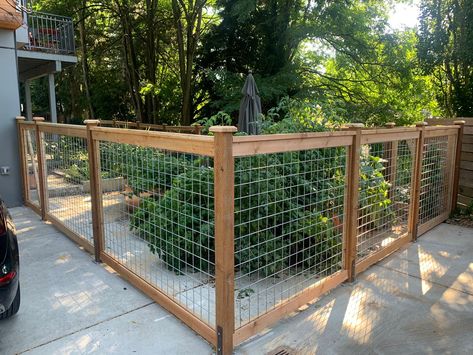 Dog Fencing, Hog Wire Fence, Fence Planning, Deer Fence, Homestead Gardens, Yard Fence, Diy Fence, Backyard Fence, Front Yard Fence