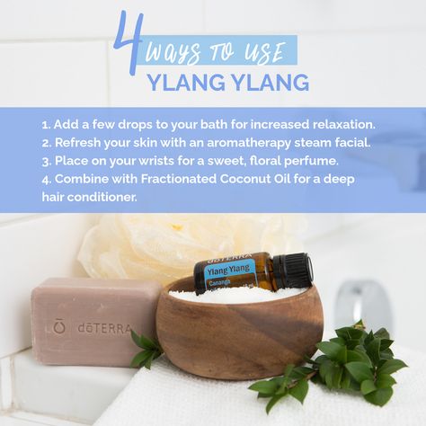 🏵 Ylang Ylang comes from a unique star-shaped flower with a sweet, rich scent. 🏵 It’s often used as a perfume scent, but it also has powerful calming properties. 🏵 #ylangylang #aromatherapy #relaxation #spa #spaexperience #relaxing #calm #essentialoils Ylang Ylang Doterra Español, Essential Oils Video, Deep Hair Conditioner, Essential Oil Education, Essential Oil Safety, Essential Oil Companies, What Are Essential Oils, Facial Steaming, Ylang Ylang Essential Oil