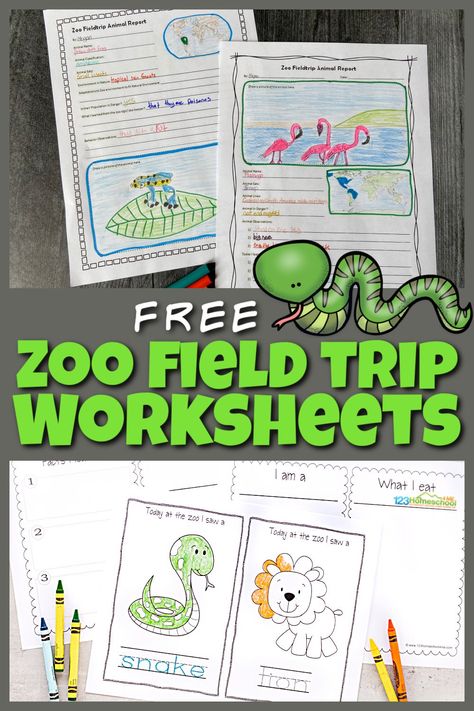 Field Trip Worksheet, Animal Report Template, Zoo Field Trip, Zoo Lessons, Animals Worksheet, Zoo Coloring Pages, Zoo Map, Zoo Book, Zoo Activities