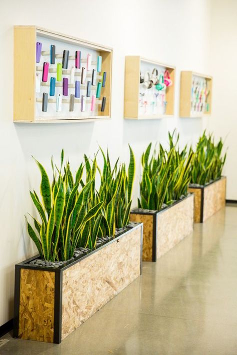 Office Planters, Plant Office Design, نباتات منزلية, Diy Tank, Custom Planters, Corporate Office Design, Green Office, Beautiful Office, Plant Box