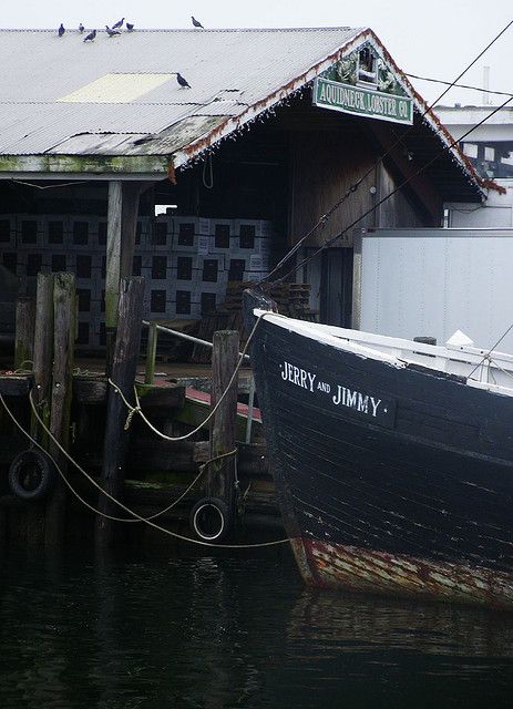 Dark Nautical Aesthetic, Nautical Aesthetic, Lighthouse Keeper, Sea Captain, Oyster Bay, Seaside Village, Seaside Towns, Beach Cottage, Fishing Villages