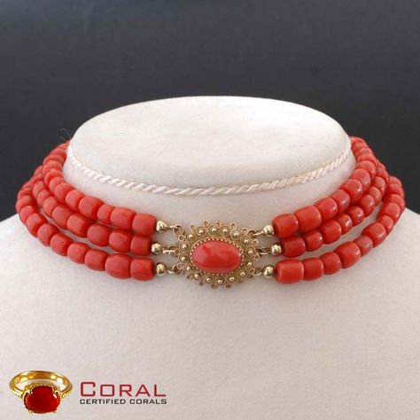 Beautiful #coral #gold #choker #necklace Coral Choker Necklace, Coral Choker, Mars Red, Coral Gemstone, Gold Choker Necklace, Gold Choker, Calm Down, Red Coral, Choker