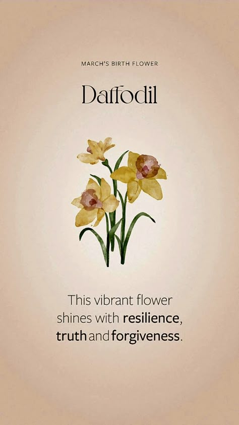 Narcissus Flower Meaning, Daffodil Meaning, Plants As People, Facts About Flowers, Flowers Widget, Pretty Flower Names, Flower Definitions, Plant Meanings, Flower Facts