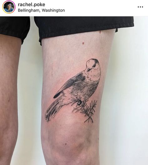 Bird Knee Tattoo, Knee Leg Tattoo, Print Making Designs, Tattoos Inspiration, Heck Yeah, Knee Tattoo, Leg Tattoo, Dream Tattoos, Birds Tattoo