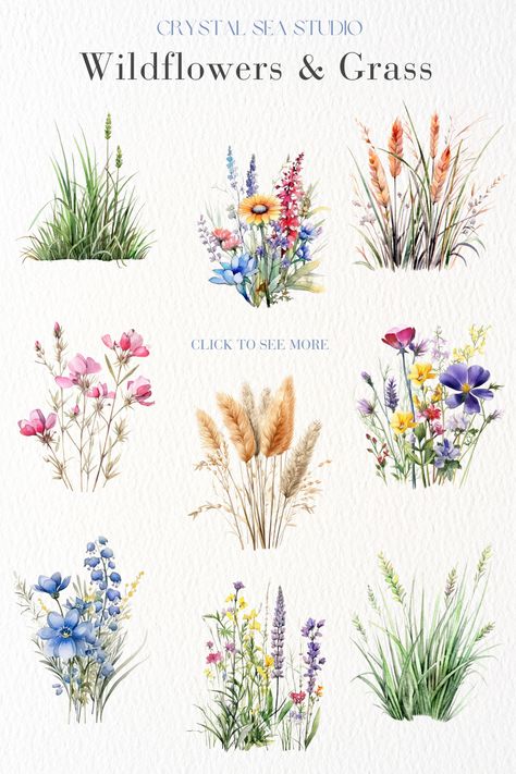 20 captivating clip art images of various wild flowers and lush grasses. Isntant Download. Wild Flower Illustration, Grass Clip Art, Wildflowers Illustration, Grass Watercolor, Watercolor Meadow, Grass Clipart, Wild Grasses, Grass Painting, Wild Flower Meadow