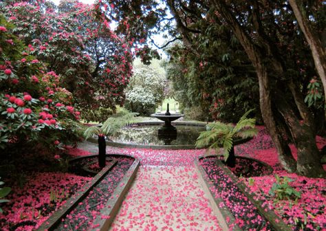 Cascade fountain, Holker Hall and Gardens Holker Hall, Stately Homes, Uk Tour, Stately Home, Instagram Worthy, Lake District, Pretty Places, Dream Garden, Dream Home Design