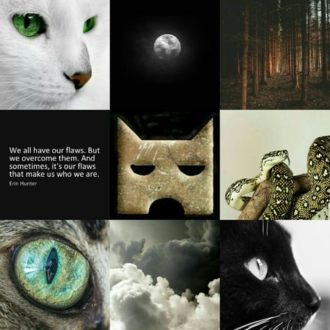 Shadowclan Aesthetic, Aesthetic Warrior Cats, Warrior Cats Shadowclan, Cute Cat Banner, Wc Aesthetic, Warrior Cats Aesthetic, Aesthetic Warrior, Aesthetic Highlight Cover, Grey Cat Wallpaper