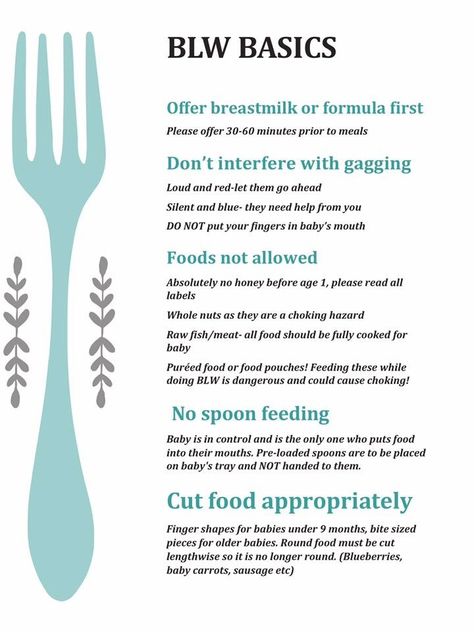 Blw info sheet for daycare Baby Lead Weaning 4 Month, Blw Must Haves, Blw Grocery List, Baby Lead Weaning 6months, Blw Day 1, 100 First Foods Blw, Blw Checklist, Baby Led Weaning First Foods 6 Months, Blw 6 Months