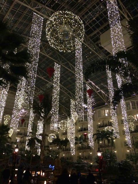 Opryland Hotel Opryland Hotel, Winter Wonderland, Favorite Places, Christmas Tree, Hotel, Holiday Decor, Christmas, Home Decor, Home Décor