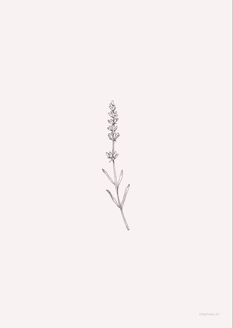 Flower Tattoos Sleeve, Botanisches Tattoo, Delicate Flower Tattoo, Simple Flower Tattoo, Mini Tats, Tattoo Thoughts, Lavender Tattoo, Tattoos Sleeve, Wildflower Tattoo