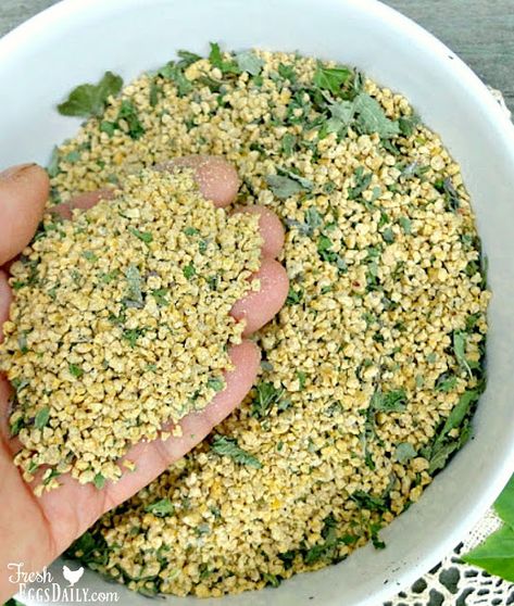 Organic Chicken Feed Recipe, Chicken Feed Recipe, Chicken Feed Diy, Organic Chicken Feed, Herbs For Chickens, Chicken Feeders, Backyard Chicken Farming, Chicken Treats, Raising Backyard Chickens