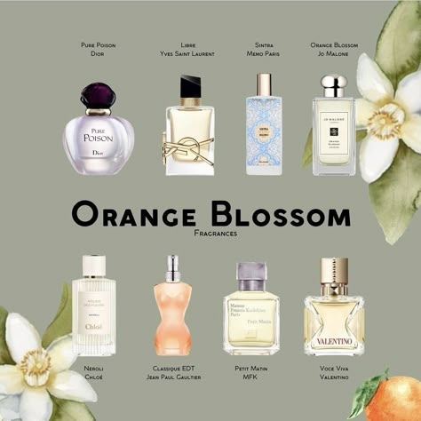 Best Orange Blossom Perfume, Orange Blossom Jo Malone, Smell Like Orange Blossom, Sintra Memo Paris, How To Smell Like Oranges, Adopt Perfume, Smell Like Oranges, Orange Blossom Perfume, Perfume Orange