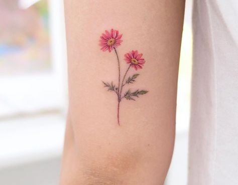 Gerber Daisy Tattoo Color, Gerbera Flower Tattoo, Red Daisy Tattoo, Pink Daisy Tattoo, Siyeon Tattoo, Gerber Daisy Tattoo, Gerbera Daisy Tattoo, Aster Flower Tattoos, Daisy Tattoo Designs