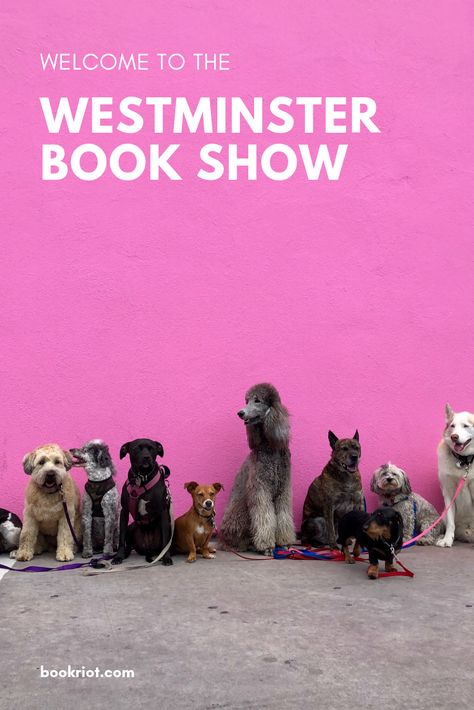 The famous dog show, but re-imagined with books. Welcome to the Westminster Book Show!   humor | book humor | dog show humor Dog Bark, Red Dog Collar, Dog Minding, Pack Leader, Slow Feeder, Dog Training Techniques, Dog Care Tips, Dog Obedience, Dog Training Obedience