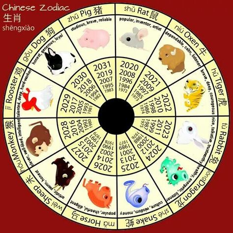 Zodiac Asian Feast, China Zodiac, Zodiac Signs In Order, Year Wheel, Birth Symbols, News Years Crafts For Kids, Feng Shui Elements, Chinese Horoscope, Zodiac Wheel