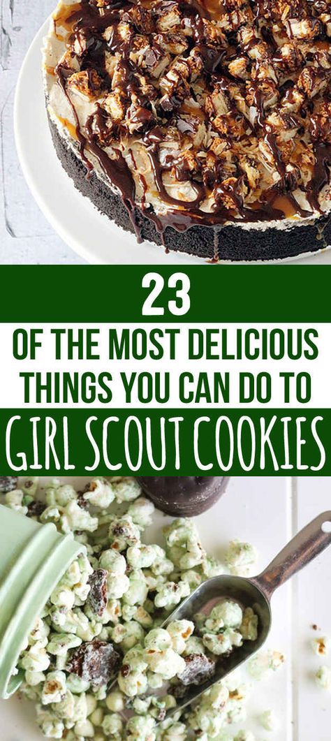 23 Delicious Ways To Eat Girl Scout Cookies Girl Scout Cookie Recipes, Girl Scout Cookie Sales, Girl Scout Cookies Booth, Brandy Snaps, Gs Cookies, Cookie Booth, Girl Scout Juniors, Eat Cookies, Girl Scout Ideas