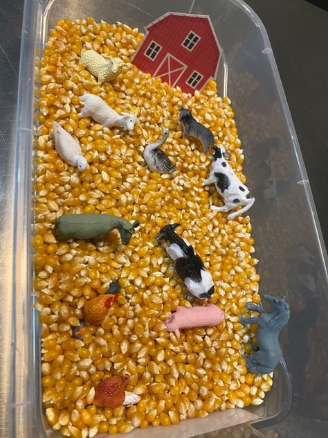 Science For Farm Theme, Farm Products Preschool, Farming Sensory Bins, Farm Animals Gross Motor Activities, Old Mcdonald Had A Farm Sensory Activities, Farm Animals Preschool Theme Sensory Bins, Preschool On The Farm Theme, Farm Animal Sensory Bin Preschool, Farm Theme Sensory Bin