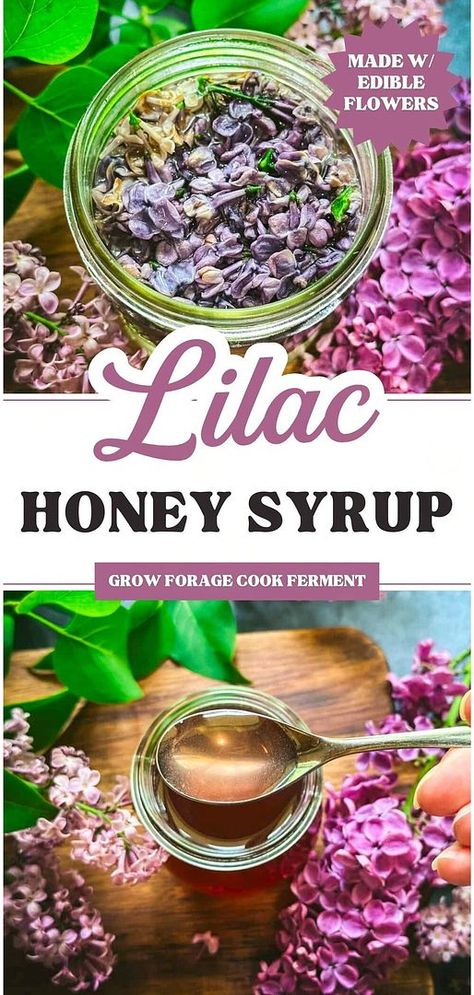 Explore Edible Flowers Recipes with lilac honey syrup. This herbal syrup combines the delicate flavor of lilacs with the sweetness of raw honey, making it perfect for cocktails, desserts, and more. Preserve the fleeting lilac season with this simple recipe. Find more healthy spring recipes, ways to use lilacs, and homemade syrup recipes at growforagecookferment.com. Lilac Simple Syrup, Healthy Spring Dinner Recipes, Lilac Lemonade, Healthy Spring Dinner, Lilac Recipes, Lilac Syrup, Lilac Honey, Lilac Jelly, Lilac Sugar