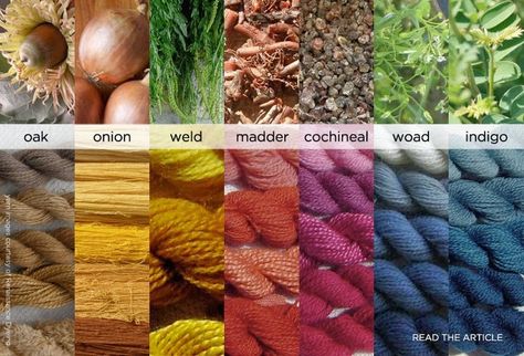 The Colorful Vikings | ThorNews Clothing Palette, Viking Garb, Natural Dye Fabric, Eco Dyeing, Viking Clothing, Astuces Diy, Tablet Weaving, Spinning Yarn, Eco Printing