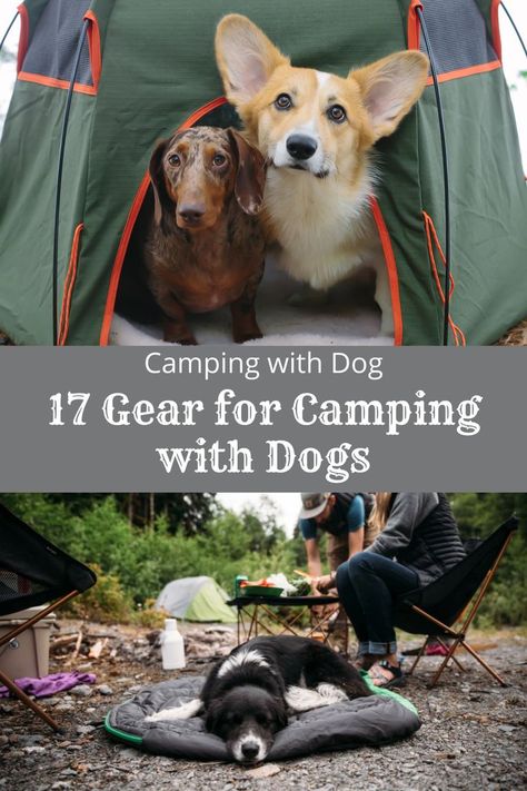 Camping With Dogs Camping Dog Hacks, Tent Camping With Dogs, Dog Camping Hacks, Dog Camping Essentials, Dog Must Haves Products, Camping With Dogs Hacks, Camping With A Dog, Camping Dogs, Dog Hiking Gear