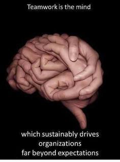 #500_11_ Wyne_J.  #Wk11_Collaboration.  Creating highly effective teams requires an understanding of one's dominant role and that of other team members in order to benefit from the aptitudes and interdependencies of team members.  http://www.iese.edu/research/pdfs/OP-07-10-E.pdf Direct Communication, Classroom Discussion, Brain Art, Brainy Quotes, Photo Shop, Sports Quotes, Human Brain, Beautiful Moon, Neurology