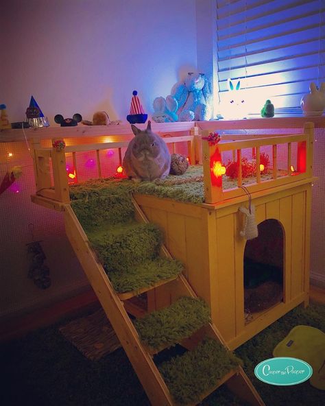 Bunny Hide House, Luxury Rabbit House, Bunny Castle Diy, Rabbit Hideout Diy, Rabbit House Indoor, Rabbit Hideout, Rabbit Enclosures, Indoor Bunny House, Bunny Sheds