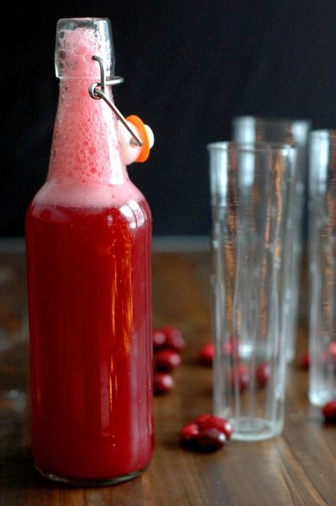 Cranberry Soda, Fermented Soda, Fermenting Foods, Ginger Bug, Healthy Beverages, How To Brew Kombucha, Homemade Soda, Water Kefir, Fermentation Recipes