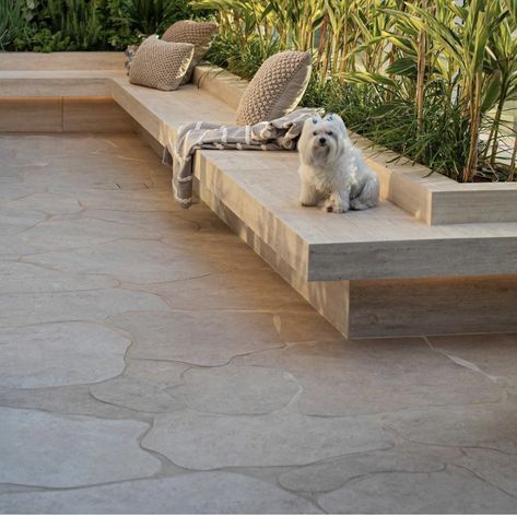 Built In Garden Seating Ideas, Outdoor Seating Concrete, Outdoor Built In Bench, Softscape Design, Built In Garden Seating, Concrete Bench, Backyard Seating, Wall Seating, Built In Seating