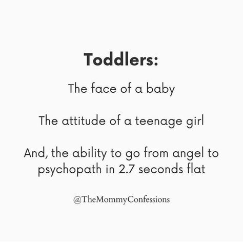 Toddler Quotes, Best Funny Quotes, Funny Toddler, 20th Quote, Toddler Humor, Life Memes, Parenting Humor, Parenting Quotes, Mom Quotes