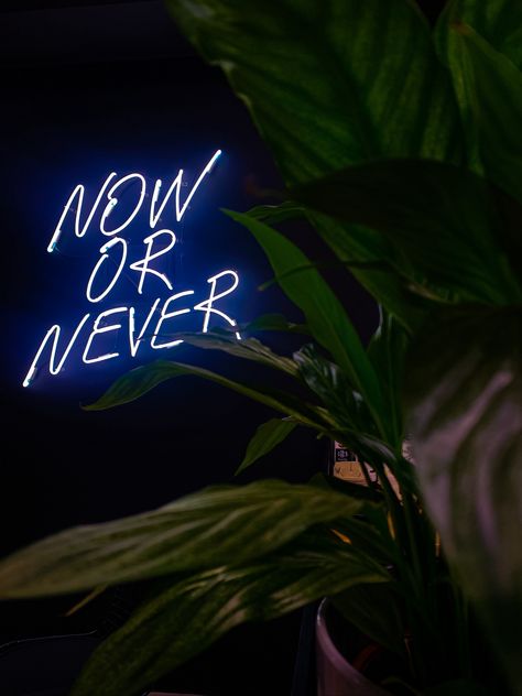 Now Or Never Wallpaper, Never Wallpaper, Neon Blue Aesthetic, Lights Pictures, Blue Neon Lights, Neon Signs Quotes, Now Quotes, Neon Artwork, Now Or Never