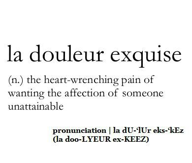 The exquisite pain. I think we have ALL been there! One Sentence Quotes, Unique Words Definitions, Uncommon Words, Fancy Words, Weird Words, Unusual Words, Rare Words, Word Definitions, Words To Use