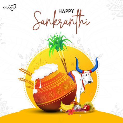 Makara Sankranthi Images, Makara Sankranthi Wishes, Kanuma Festival, Sankranthi Wishes, Sankranthi Festival, Birthday Wishes Gif, Happy Ram Navami, Psychological Facts Interesting, Ram Navami