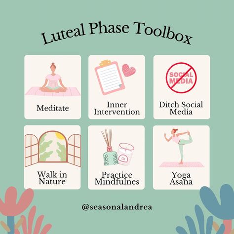 Luteal Phase Shopping List, Luteal Phase Self Care, Luteal Phase Skin Care, Late Luteal Phase, Period Cycles, Infradian Rhythm, Cycle Synching, Period Power, Cycle Health