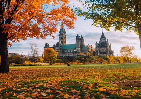 Where To See The Best Ottawa Fall Views For Fall Rhapsody - Little Miss Ottawa Ottawa Travel, Fall Getaways, Fall Colours, Ski Town, Leaf Peeping, Hill Park, Beautiful Cottages, Urban Park, The Blue Mountains