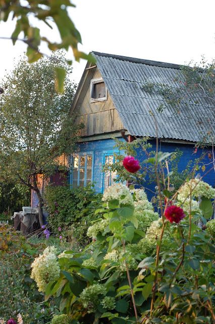 Russia Blue Cottage, Blue Garden, Down On The Farm, Potting Shed, Cabins And Cottages, Old Barns, Garden Cottage, Growing Flowers, Garden Shed