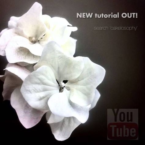 Gumpaste Tutorials, Fondant Techniques, Sugar Paste Flowers, Sugar Flowers Tutorial, Fondant Flower Cake, Cold Porcelain Flowers, Polymer Clay Ornaments, Gum Paste Flowers, Fondant Flowers