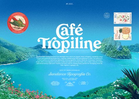 Tropiline Font Family on Behance Popular Font, Old Fashioned Fonts, Summer Font, Font Handwriting, Fonts Creative, Fonts Handwriting, Family Logo, Design Fonts, Alphabet Fonts