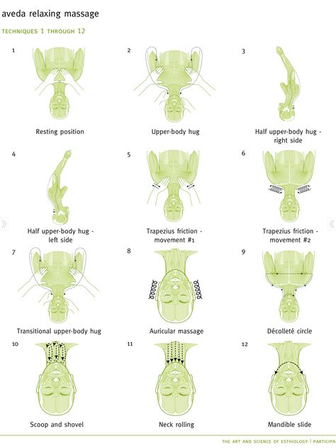 Facial Types, Esthetician Massage Techniques, Facial Massage Routine Esthetician, Benefits Of Facial Massage, Facial Contraindications, Professional Facial Massage Steps, Facial Massage Steps, Facial Esthetics, Skin Script