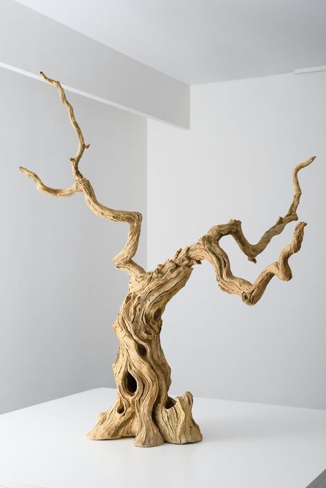 It is clay. In the solo show by Eric E. Serritella at Sokyo Gallery, Kyoto. Taman Air, Sculpture Art Clay, Wood Art Projects, Driftwood Sculpture, Hallway Ideas Entrance, Modern Hallway, Miniature Trees, Tree Photography, Tree Sculpture