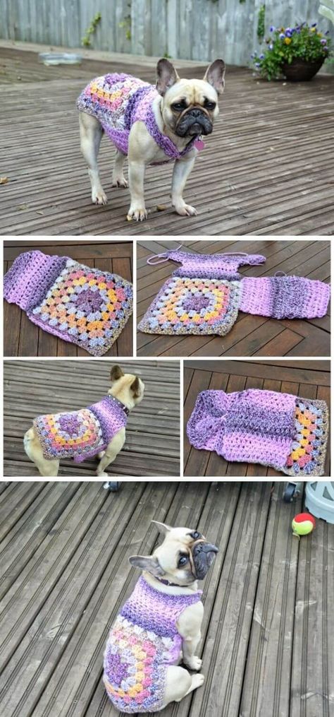 15 Crochet Dog Sweater Free Patterns - FarmFoodFamily Crochet Dog Jacket Free Pattern, Crocheted Dog Sweaters Free Pattern Easy, Crochet Dog Clothes Free Pattern, Crochet Dog Jacket, Dog Clothes Crochet, Crochet Dog Sweater Pattern, Dog Sweater Crochet, Crochet Dog Sweater Free Pattern, Dogs Sweater