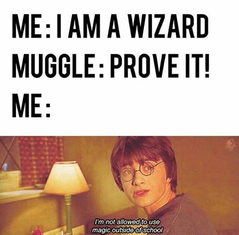 Harry Potter Esprileri, Meme Harry Potter, Harry Potter Quote, Citate Harry Potter, Harry Potter Wiki, Glume Harry Potter, Funny Harry Potter Jokes, Harry Potter Memes Hilarious, Harry Potter Spells