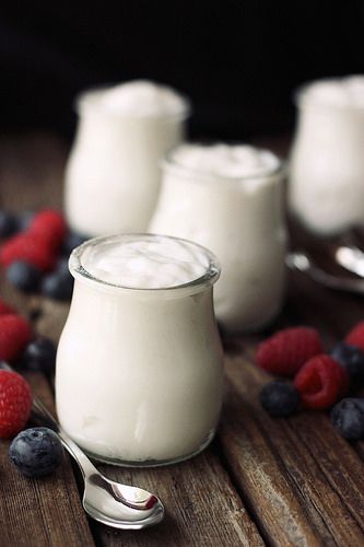 Coconut Milk Drink, Milk Substitute, Paleo Plan, Coconut Milk Yogurt, Make Coconut Milk, Coconut Yoghurt, Lectin Free, Dairy Free Yogurt, Starting Keto Diet