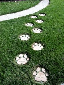 Digging Area For Dogs, Home Ideas For Dogs, Dog Shelter Ideas Outdoor Diy, Dog Park Plan Design, Home Dog Park, Cute Dog Room, Dog Pool Ideas, Dog Yard Ideas, Dog Play Area