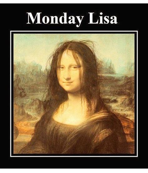 Funny-Hairdresser-Memes Funny Hair Memes Hilarious, Hair Humor Hilarious, Hair Memes Funny, Bad Hair Day Funny, Monday Lisa, Bored Meme, Hairstylist Memes, Hairstylist Humor, Hair Salon Quotes