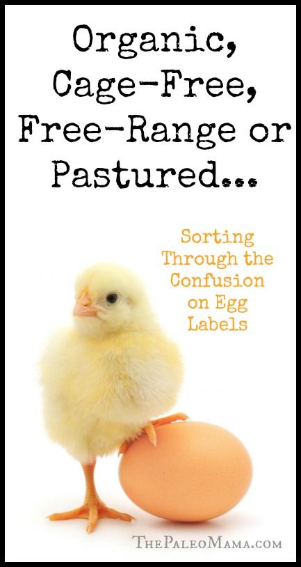 Organic, Cage-Free, Free-Range or Pastured… Sorting Through the Confusion on Egg Labels | The Paleo Mama Organic Eating, Best Paleo Recipes, Organic Lifestyle, Paleo Diet Recipes, Paleo Lifestyle, Organic Cleaning Products, Eating Organic, Easy Paleo, Organic Living